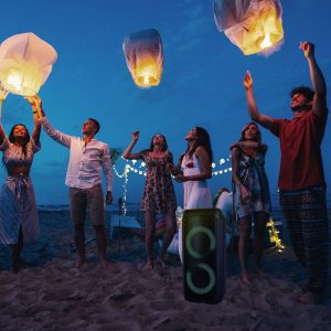 35W караоке тонколона с вградена батерия, жичен микрофон и осветление VT-6307-2 | AVStore