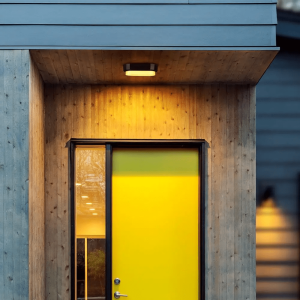 LED плафон черен 8W 3000K овален VT-8038 V-TAC | AVStore