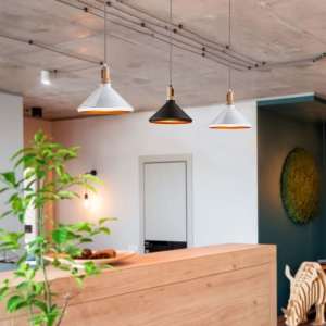 Пендел черен/дървен връх Ø350mm V-TAC VT-7535 | AVStore