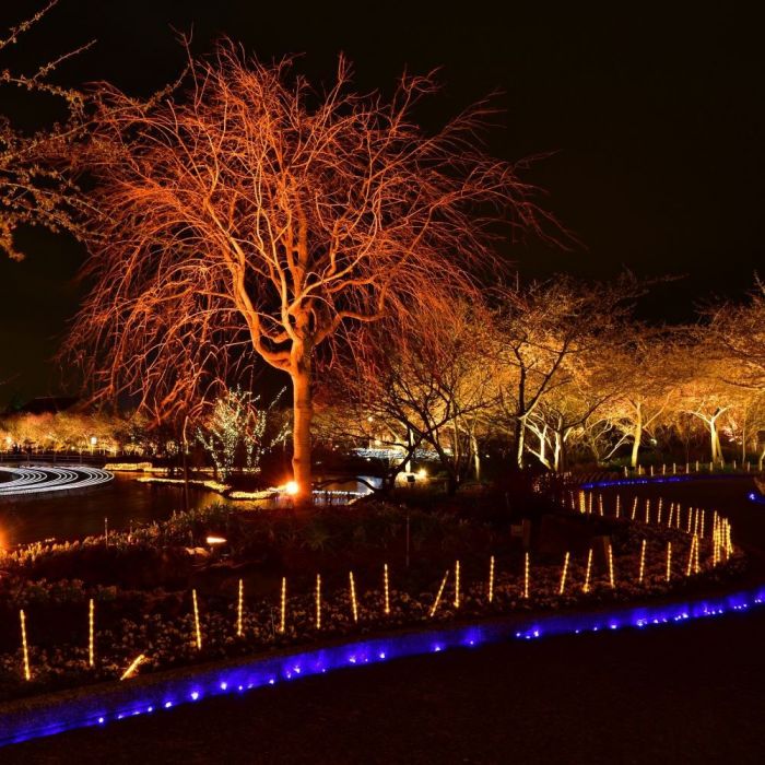 5992-a2_863 LED прожектор 20W червена светлина VT-4021 V-TAC черен | AVStore