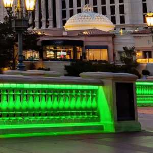 LED COB лента зелена 10W/M IP67 24V VT-COB 320 V-TAC | AVStore