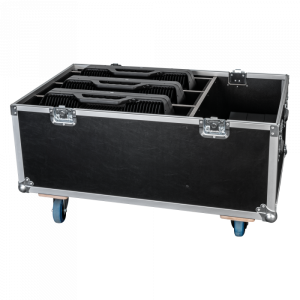 Кейс Infinity Case for 3x Raccoon S420/4 and W40/4 | AVStore