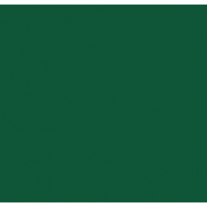 Конфети за машина Cannon Pro 80cm Showgear тъмнозелени | AVStore