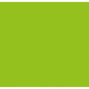 Конфети за машина Cannon Pro 80cm Showgear светлозелени | AVStore