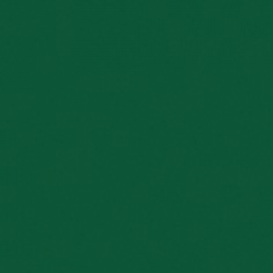 Конфети за машина Cannon Pro 80cm Showegear тъмнозелени | AVStore