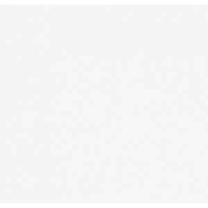 Конфети за машина Cannon Pro 80cm Showegear бели | AVStore